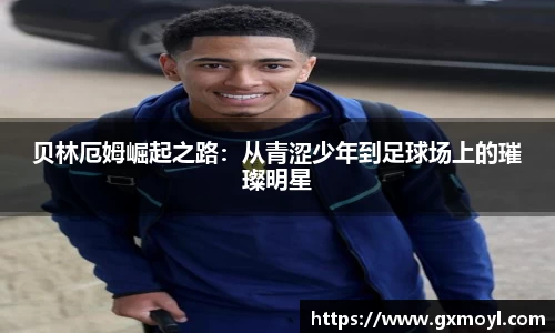 lehu乐虎国际